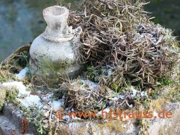 Hans-Jörgs Bilder...